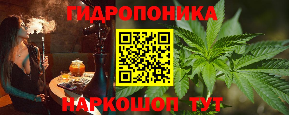 Шишки марихуана сатива  Каннабис OG Kush  Кизилюрт  Вход с VPN  МАРИХУАНА ГИДРОПОН 